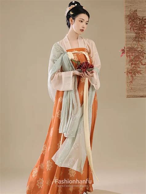 Chinese Dress Ancient Costume Tang Dynasty Hanfu Dress - Fashion Hanfu