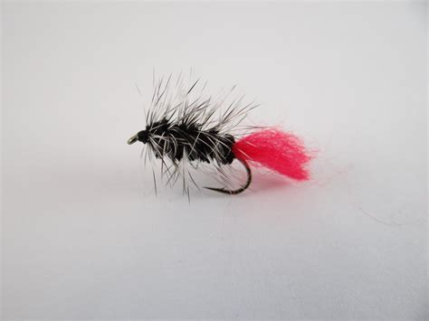 Free photo: Streamer for flyfishing - Bait, Fishing, Fly - Free ...