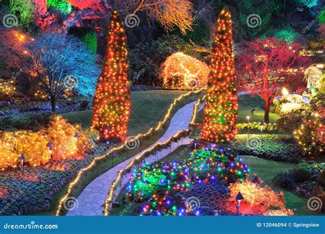 Christmas Lights In Butchart Gardens Stock Photography | CartoonDealer.com #12046094