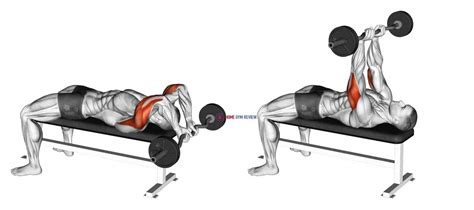 EZ Bar Lying Close Grip Triceps Extension Behind Head - Home Gym Review