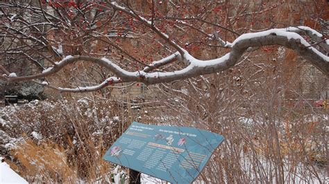 Urban Bird Habitat - Smithsonian Gardens