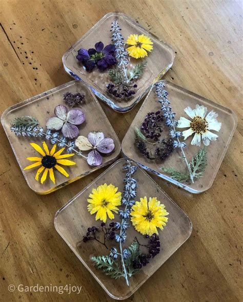 DIY resin coasters with dried pressed flowers - Gardening4Joy