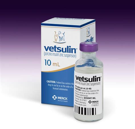 Insights into Veterinary Endocrinology: What's the Best Insulin for Diabetic Cats and Dogs?