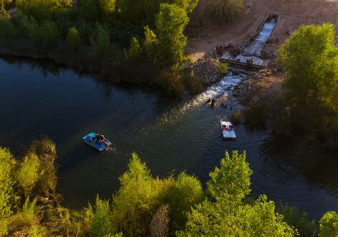 Restoration Efforts in the Colorado River Delta are Working | Audubon