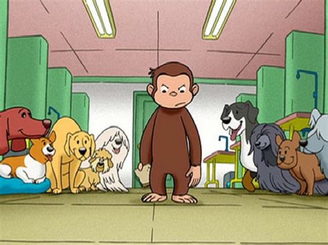 [Download] Curious George Season 1 Episode 17 Curious George, Dog ...