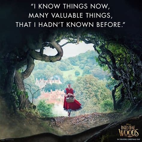 25 Into The Woods Quotes and Sayings Collection | QuotesBae