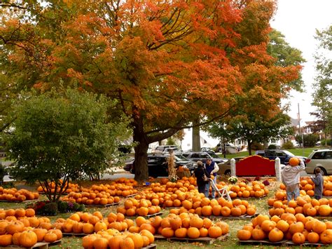 Find the Best Fall Foliage In New England With This Interactive Map