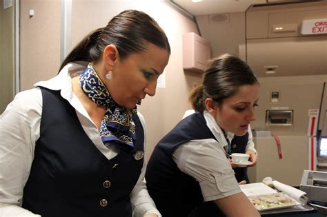 Turkish Airlines cabin crew | Kadın, Hostes, Seyahat