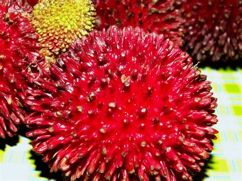 Buah (fruit) pulasan photo – Best recipes, foods and travel