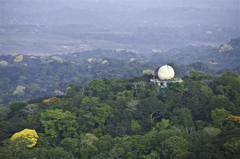 Canopy Tower - The Canopy Family