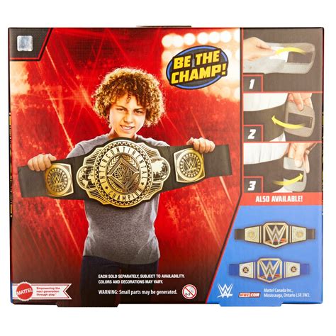 WWE Championship Title Belt Case of 4 - Entertainment Earth