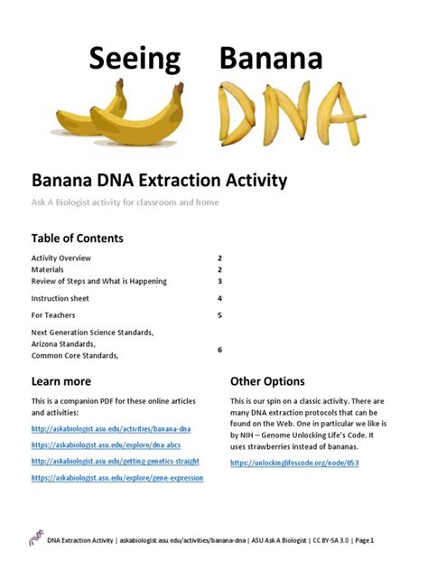 Extracting DNA From Banana | PDF | Cell (Biology) | Gene