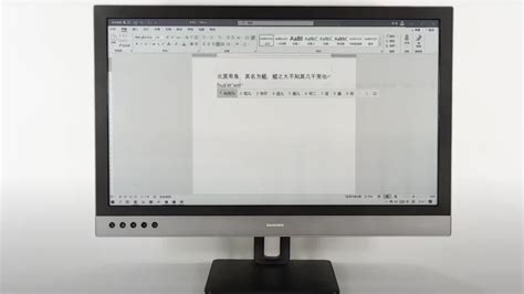 There’s finally a 25-inch E Ink monitor for extreme readers