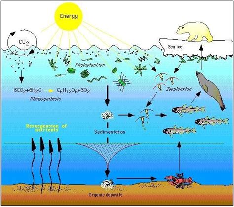 Climate Impacts on Ecosystems | Climate Change Impacts | US EPA