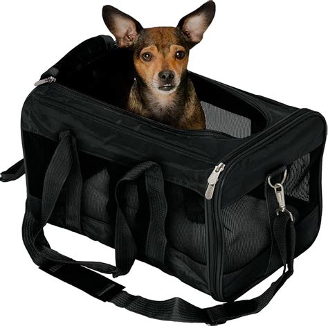 The 11 Best Dog Carriers For Airplanes - BestForPets.org