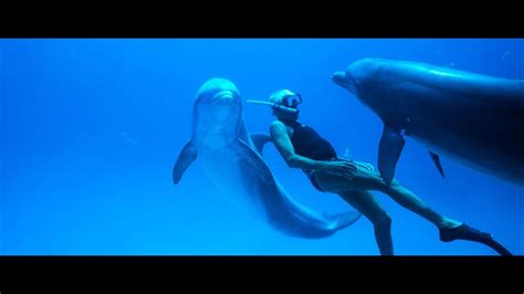 DOLPHIN MAN – documentary film teaser – Moving Docs - YouTube