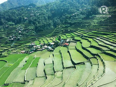 Visiting the Ifugao rice terraces? A few things to reflect on