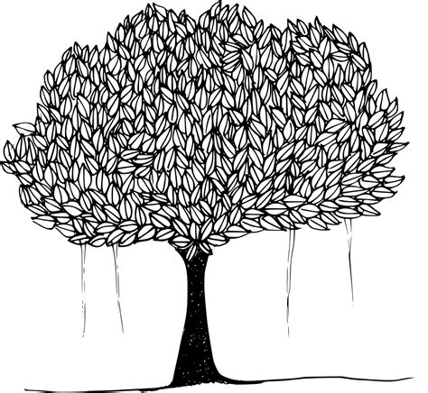 SVG > 树 多叶 树木 阴凉处 - 免费的SVG图像和图标。 | SVG Silh