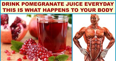 Benefits Of Drinking Pomegranate Juice Everyday - health benefits