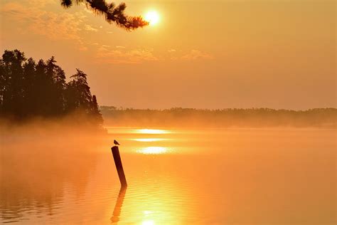 Mackenzie Lake Sunrise Photograph by Stephen Emms - Pixels