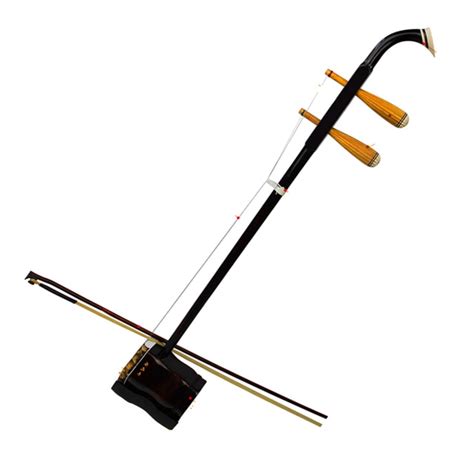 Chinese Erhu Chinese Instruments Professional Erhu Huqin Strik Muziek with Bow String Erhu ...