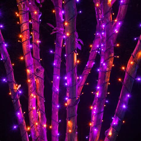 Halloween Lights - Yard Envy