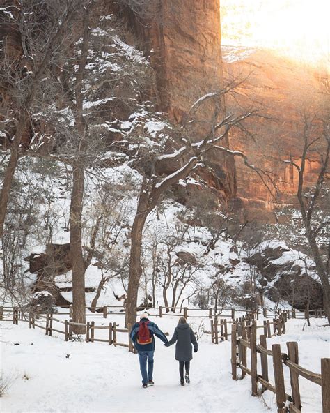 Why you definitely need to visit Zion National Park in Winter — Walk My World | Zion national ...