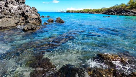 5 Best Big Island Snorkeling Spots (plus how to swim with manta rays) - The Hawaii Vacation Guide