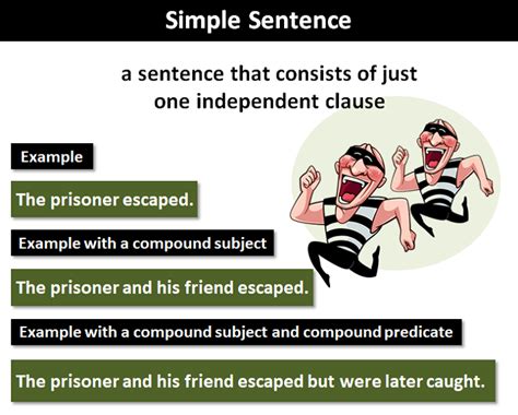 Simple Sentence: Explanation and Examples