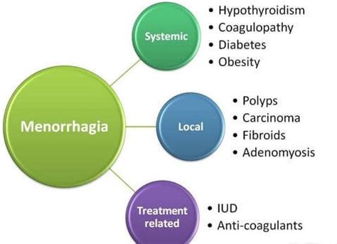 Menorrhagia (hypermenorrhoea) Causes, Symptoms and Treatment | Mediologiest