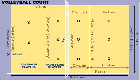 volleyball positions Diagram | Quizlet