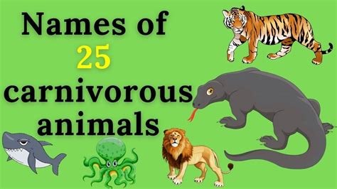 Carnivorous Animals Pictures With Names