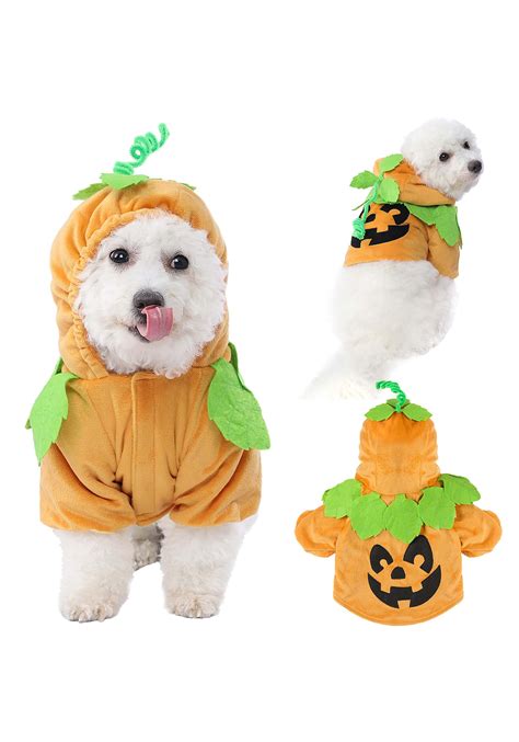 Pumpkin Dog Costume