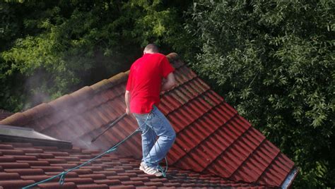 Guardians Of Shingles: Simple Precautions For Effective Roof Cleaning