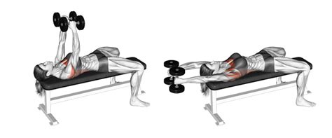 Pullover With Two Dumbbells | Member Login Area | Tom Venuto’s Burn the Fat Inner Circle ...