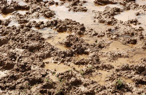 Muddy Field Background Royalty Free Stock Photos - Image: 6604008