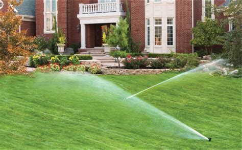 A Horticultural Approach to Irrigation - Reder Landscaping - Landscape Design & Lawn Care