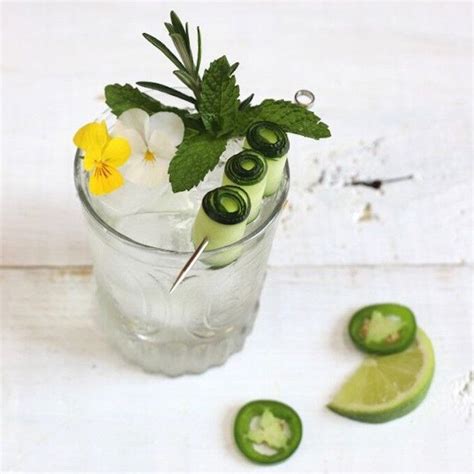 5 Gin & Tonic Twists You Won’t Be Able to Resist in 2020 | Gin and tonic, Fruit in season ...