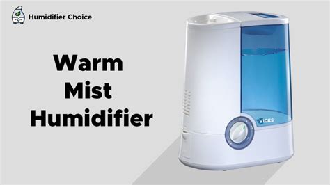 Types Of Humidifiers In 2024: Pros And Cons - Humidifier Choice