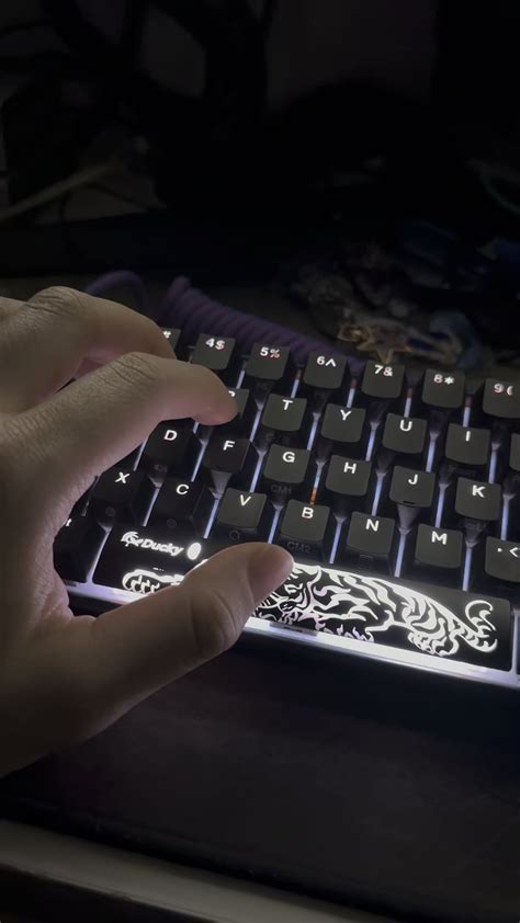 DUCKY KEYBOARD : r/MechanicalKeyboards