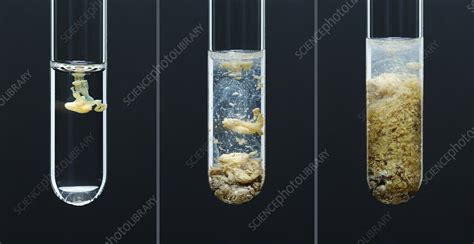 Silver phosphate precipitate - Stock Image - C030/7602 - Science Photo Library