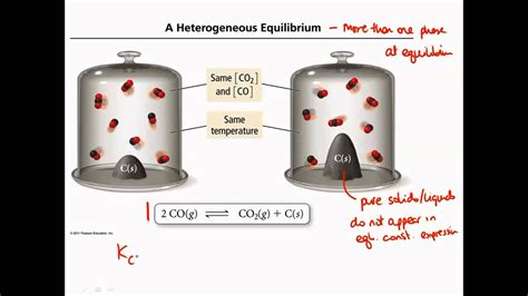 Heterogeneous Equilibrium - YouTube