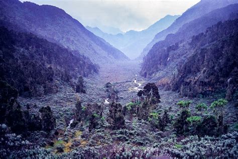 Uganda, Mountains of the Moon, Valley,1984 : Jeff Shea