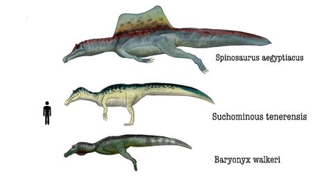 Spinosauridae by TripleBomber2000 on DeviantArt