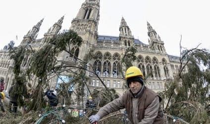 Vienna Christmas tree given new life - The Local