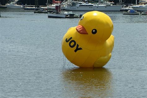 Giant rubber ducky takes flight; where will it land next? - WTOP News