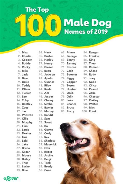 Pin by Amy Rose on Animals | Cute names for dogs, Dog names, Dog names male