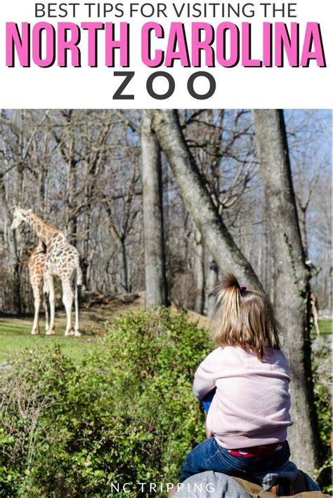 NC Zoo in Asheboro: ALL the Tips to Help You Enjoy the World's Largest ...