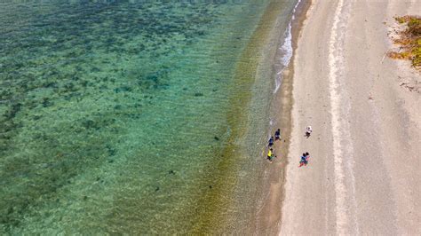 Aerial View of a Sea Beach · Free Stock Photo