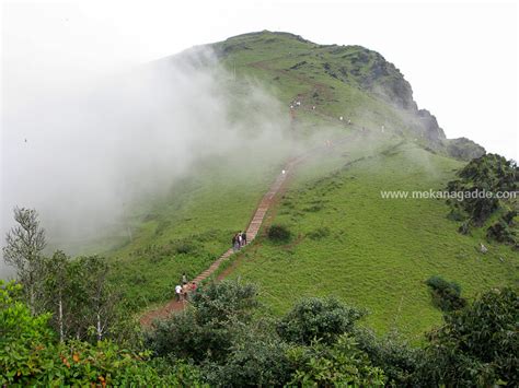 Mullayanagiri - Mekanagadde Homestay